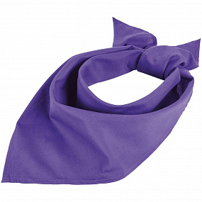 Gifts: шейный платок bandana, темно-фиолетовый 