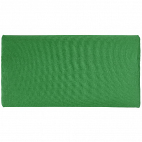 Gifts: пенал p-case, зеленый 