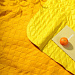 Gifts: плед для пикника soft & dry, желтый 
