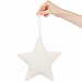 Gifts: декоративная подвеска party star 
