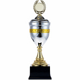 Gifts: кубок enterprize, серебристый 