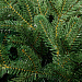 Gifts: искусственная ель ms.tree, 210 см 