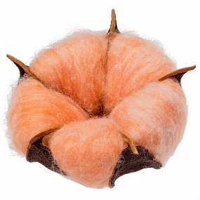 Gifts: цветок хлопка cotton, оранжевый 