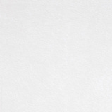 Gifts: заготовка из фетра felt l, белый 