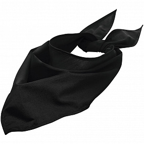 Gifts: шейный платок bandana, черный 
