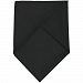 Gifts: шейный платок bandana, черный 
