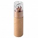 Gifts: набор карандашей pencilvania office с точилкой, прозрачный 