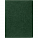 Gifts: ежедневник в суперобложке brave book, недатированный, зеленый 