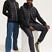Gifts: жилет мужской victoire bw men, темно-синий 