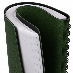 Gifts: ежедневник strep front, недатированный, зеленый 