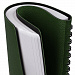 Gifts: ежедневник strep front, недатированный, зеленый 