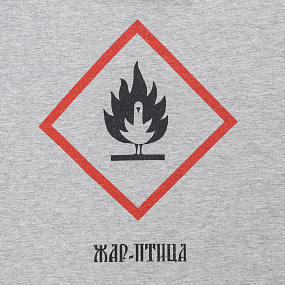 Gifts: футболка «жар-птица», серый меланж 