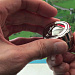 Gifts: головоломка huzzle 4. cylinder 