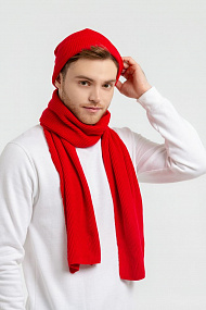 Gifts: шапка life explorer, красная (алая) 