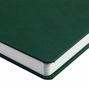 Gifts: ежедневник grade, недатированный, зеленый 