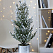 Gifts: настольная искусственная елка poetree, большая 